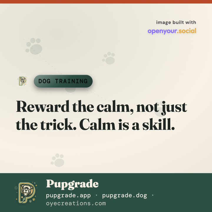 Example post: a dog-training tip